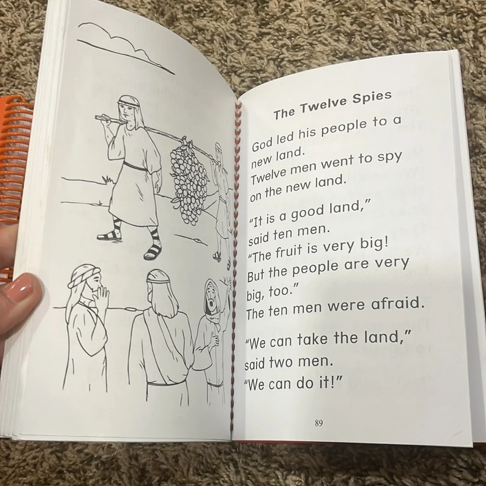 MY FATHER’S WORLD First Grade curriculum 📚 - Picture 3 of 13